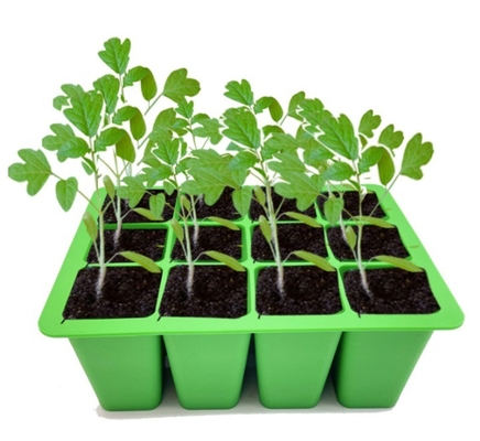 Plateaux en silicone pour jardins, couvercles, plateaux de germination de semences résistants à la corrosion pour serre